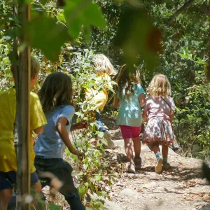 Acorn Adventurers Summer Camp