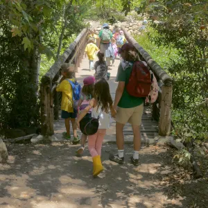 Acorn Adventurers Summer Camp