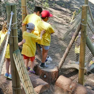 Create in Nature Summer Camp