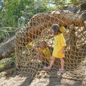 Create in Nature Summer Camp