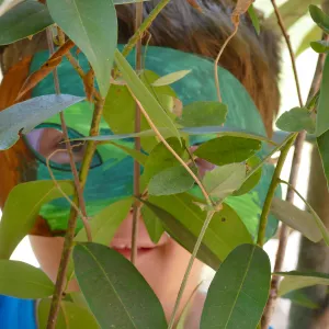 Create in Nature Summer Camp