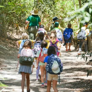 Create in Nature Summer Camp