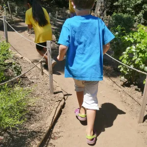 Create in Nature Summer Campers at the Centennial Maze