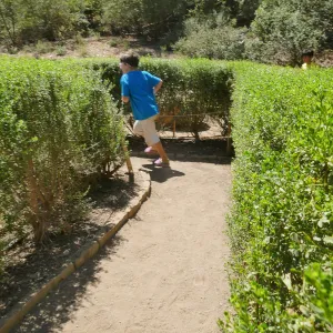 Create in Nature Summer Campers at the Centennial Maze