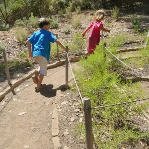 Create in Nature Summer Campers at the Centennial Maze