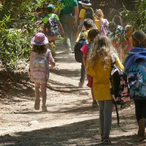 Create in Nature Summer Camp
