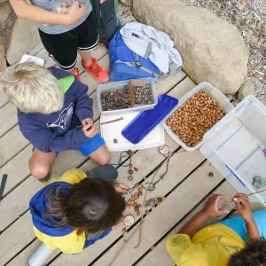 Sense of Nature Summer Camp