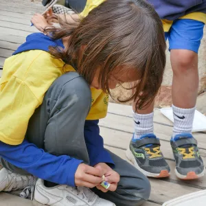 Sense of Nature Summer Camp