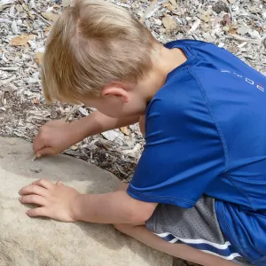 Sense of Nature Summer Camp