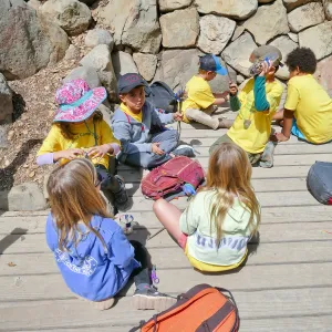 Sense of Nature Summer Camp