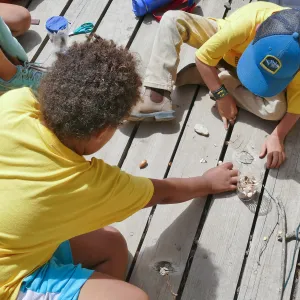 Sense of Nature Summer Camp