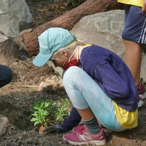 Jr. Naturalist Summer Camp Planting Activity