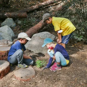 Jr. Naturalist Summer Camp Planting Activity