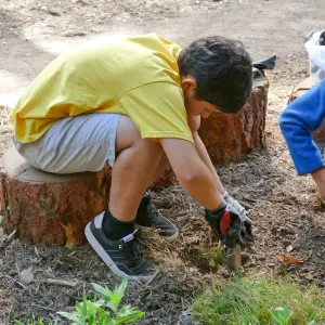 Jr. Naturalist Summer Camp Planting Activity