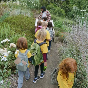 Neighbors in Nature Camp, Beat sheeting activity