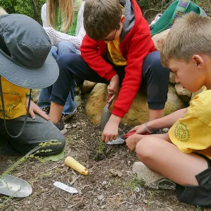 Neighbors in Nature Camp, Planting activity