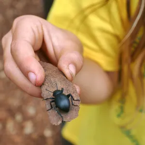 Neighbors in Nature Camp
