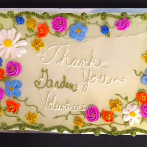 A white, square cake beautifully adorned with a border of vibrant icing flowers and trailing green icing vines. Written in cursive script across the center is a message that reads "Thank You” in white lettering, “Garden” in green lettering and “Volunteers" in white again.
