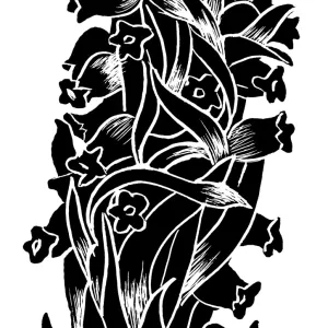 Snow Plant