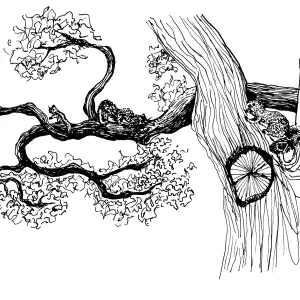 Squirrels, Oak