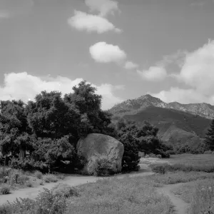View of the Blaksley Boulder, meadow and desert section with Coastal Live Oak