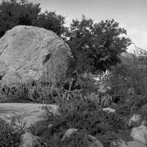 Blaksley boulder probably taken in the very early 1930s
