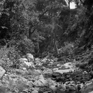 Mission Creek