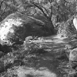 Pritchett Trail