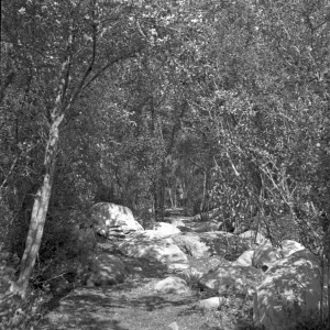 Unknown location in the Garden