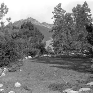 Historic Island section looking north to entry boulders