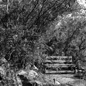 Bench used in Garden during 1920s and 1930s