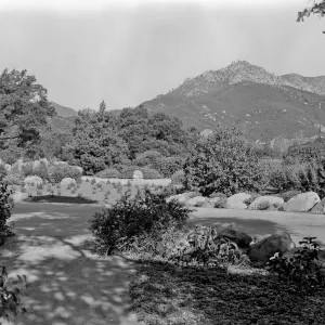 Old entrance road into the Garden