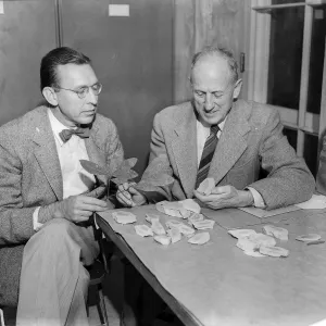 Dr. C.H. Muller and Dr. Ralph W. Chaney examining fossils