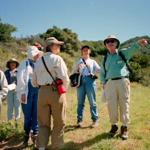 Wildflower Foray 2003