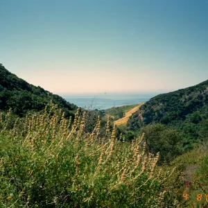 Wildflower Foray 2003