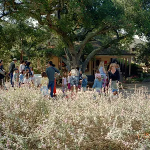 13th Annual Garden Egg Hunt