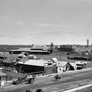 Indio, town scene, Pioneer Blacksmith, Pioneer Transfer Co., Witman Plumbing, Lunch Counter, Holton Power Co. Ice Plant