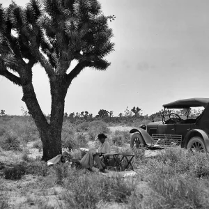 Black and white photograph of a man, reclined, and a woman, seated, beneath a palm tree and next to a black automobile.
