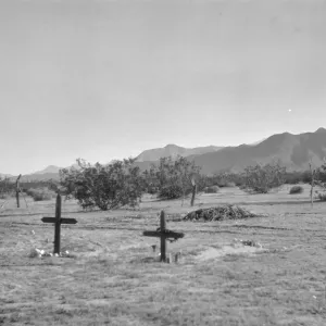 Black and white image of a graveyard with black and white crosses, with desert shrubs and hills in the background.