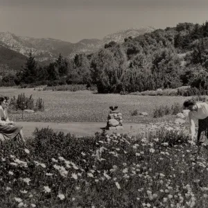 The Strawberry Meadow, © Josef Muench