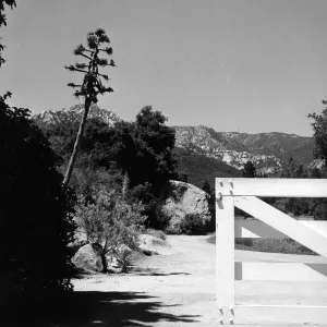 View of the Desert Section with mountains in background, from the Courtyard