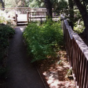 SBBG Home Demonstration Garden Deck