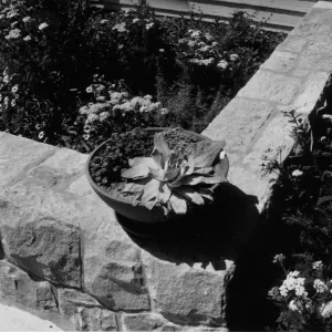 SBBG Home Demonstration Garden