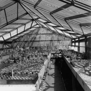SBBG Horticulture Building, lath house (interior)