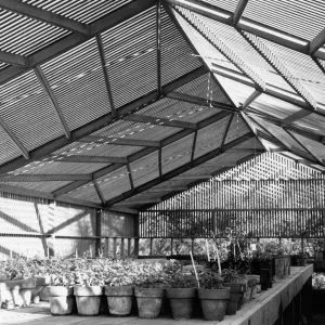 SBBG Horticulture Building, lath house (interior)