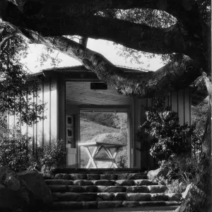 SBBG Information Kiosk (Coastal Live Oak), © Josef Muench