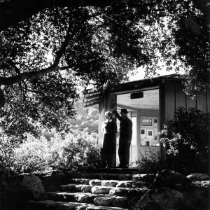 SBBG Information Kiosk (Coastal Live Oak)
