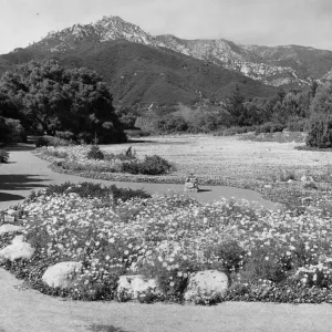 SBBG Strawberry Meadow with Sundial