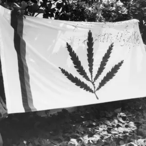 SBBG Garden Flag