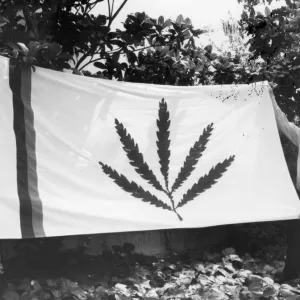 SBBG Garden Flag